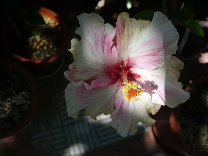 P1280163