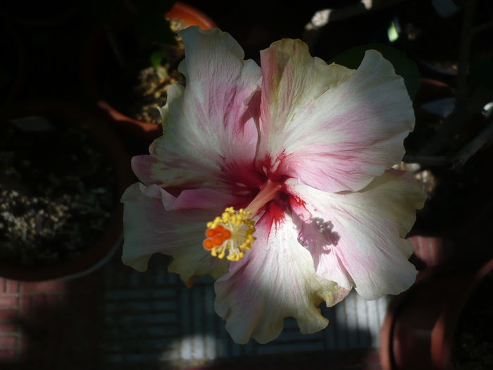 P1280164