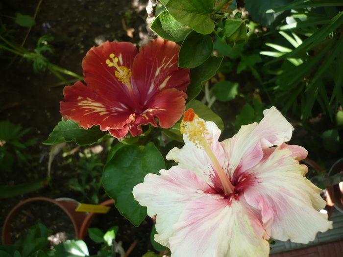 P1280168