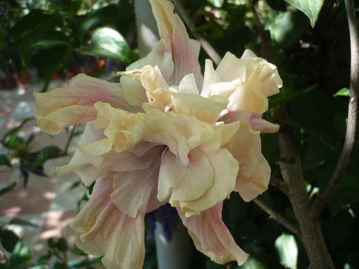 P1280170