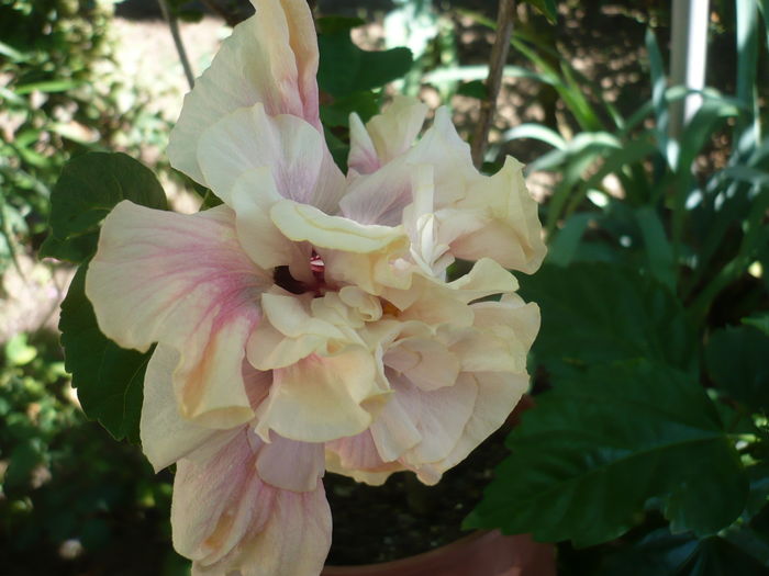 P1280172
