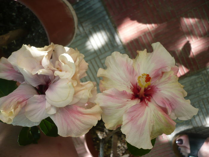 P1280175