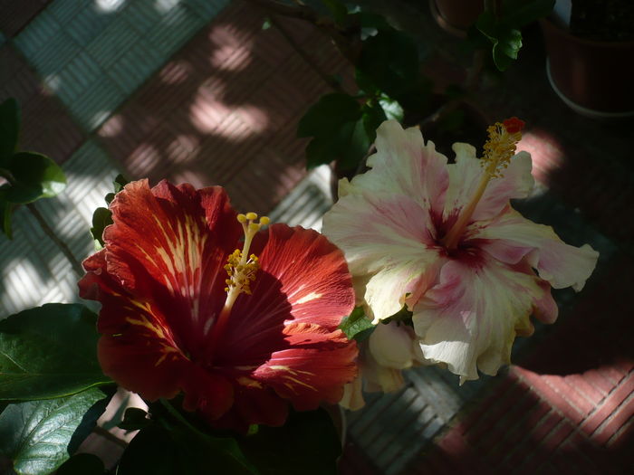 P1280176