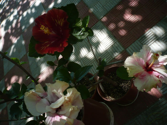 P1280178
