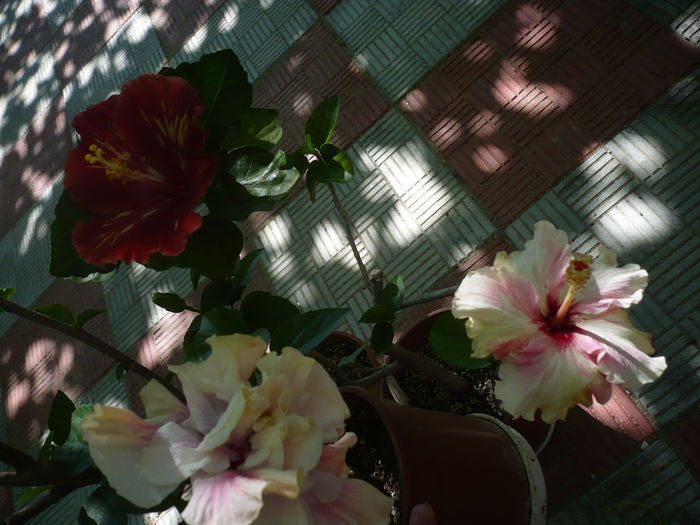 P1280179