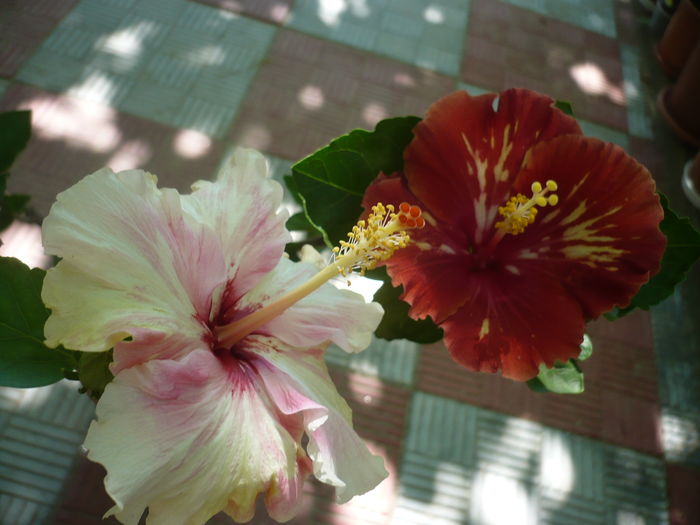 P1280182