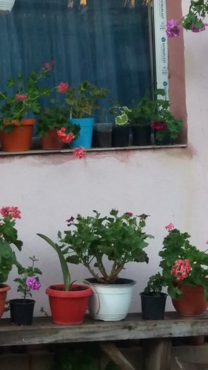 20160712_201857