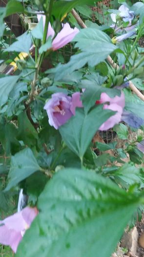 20160712_202114