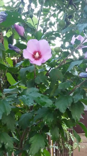 20160712_202202