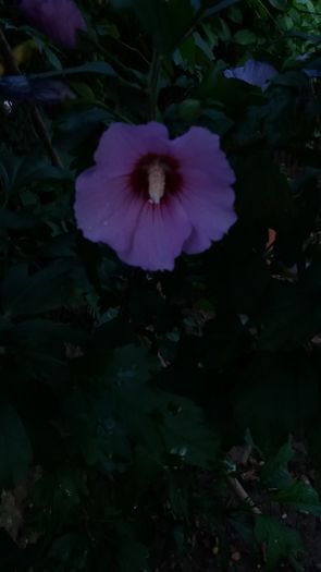 20160712_202215
