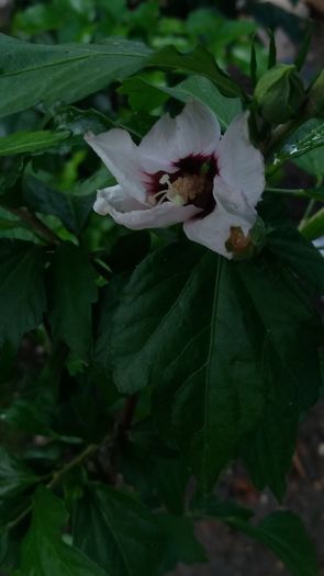 20160712_202246