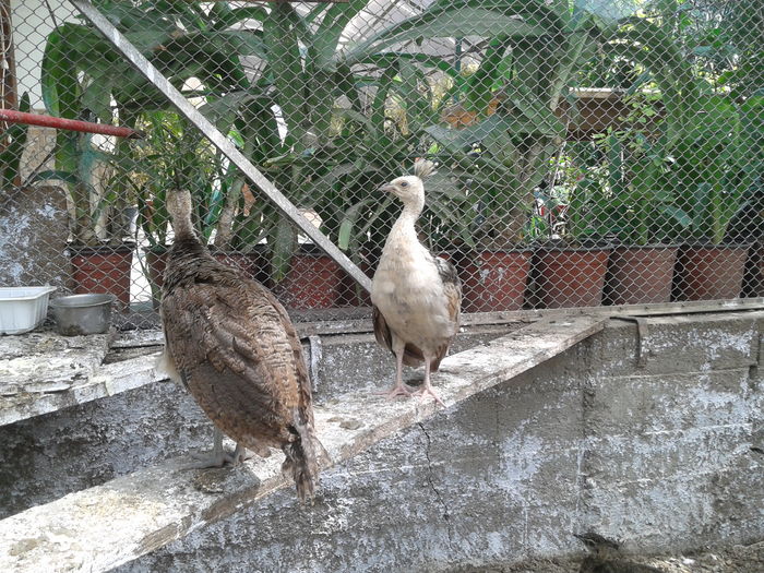 1468401015588-1097934811