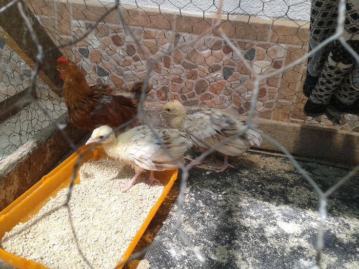 1468401858823531895681