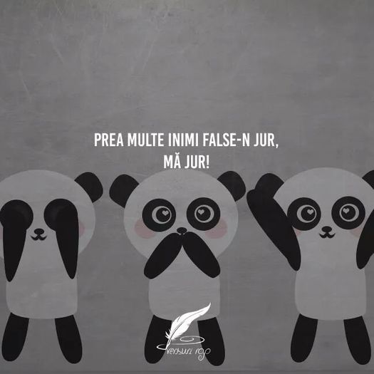 vad panda , salvez poza - little do u know