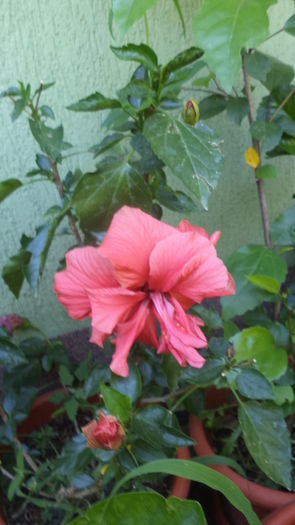 DSC06023