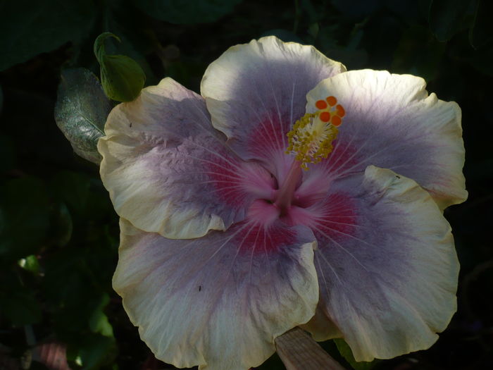 P1280185