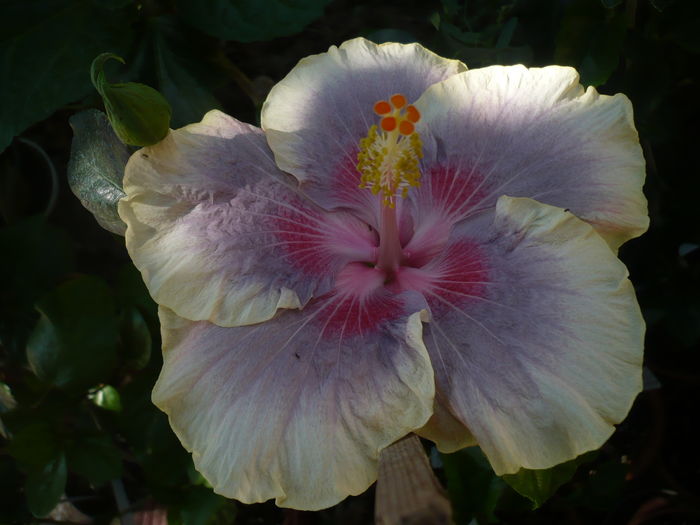 P1280186