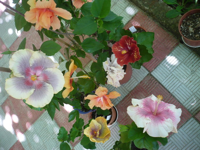 P1280200