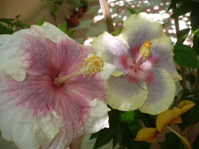 P1280203