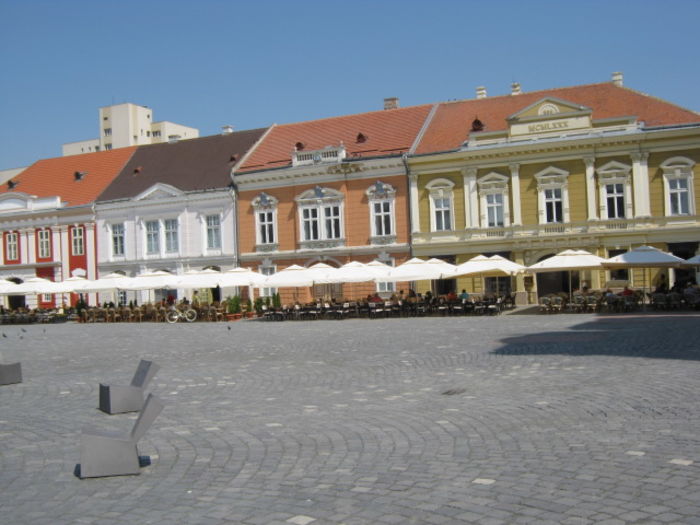 IMG_5841 - Poze Orasu Timisoara jud Timis