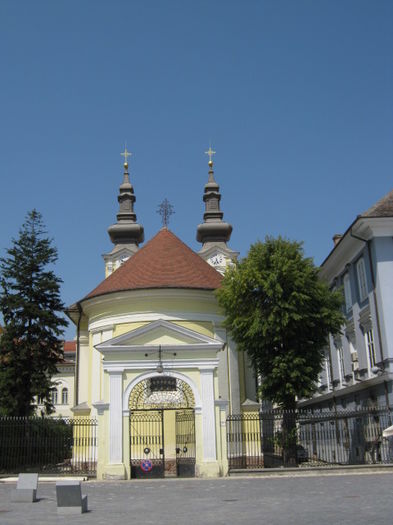 IMG_5871 - Poze Orasu Timisoara jud Timis