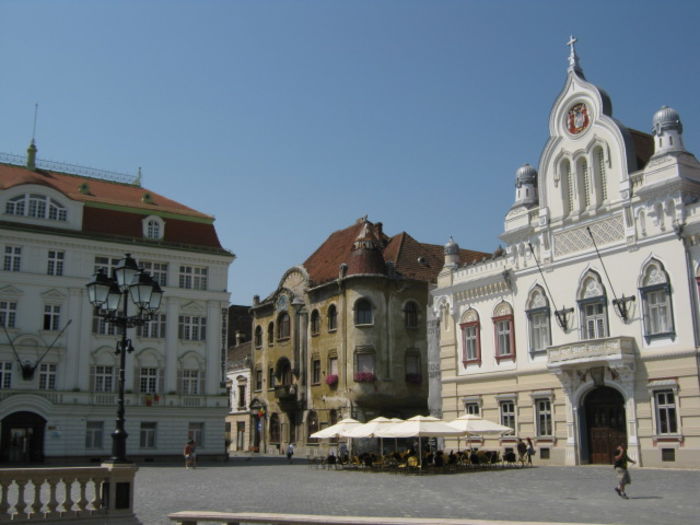 IMG_5873 - Poze Orasu Timisoara jud Timis