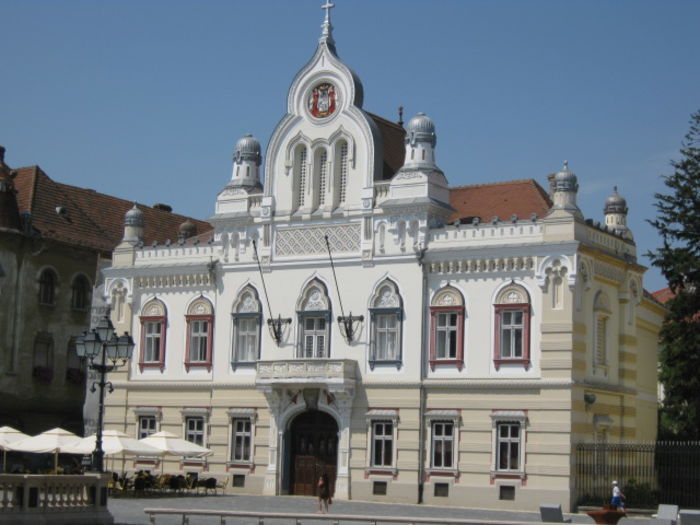 IMG_5879 - Poze Orasu Timisoara jud Timis