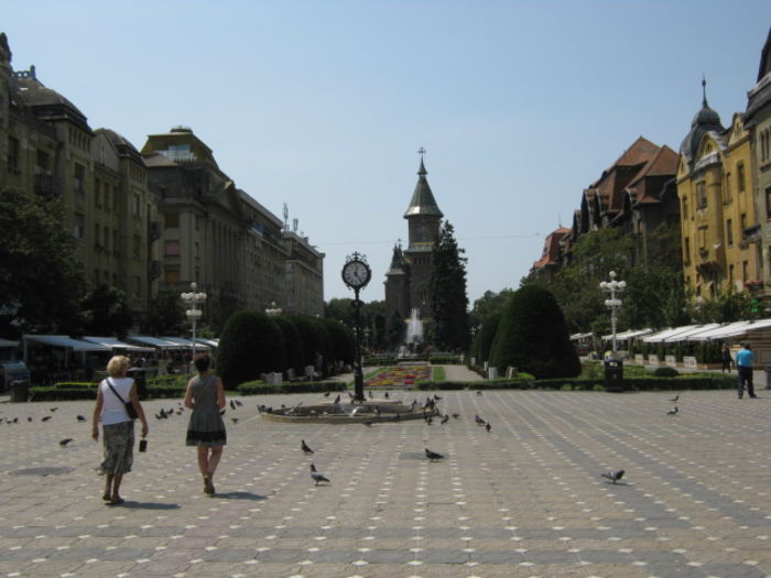 IMG_5908 - Poze Orasu Timisoara jud Timis