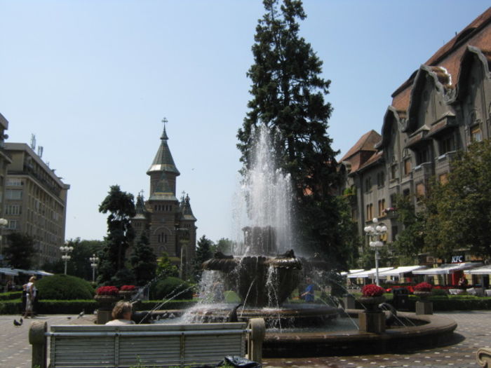 IMG_5929 - Poze Orasu Timisoara jud Timis