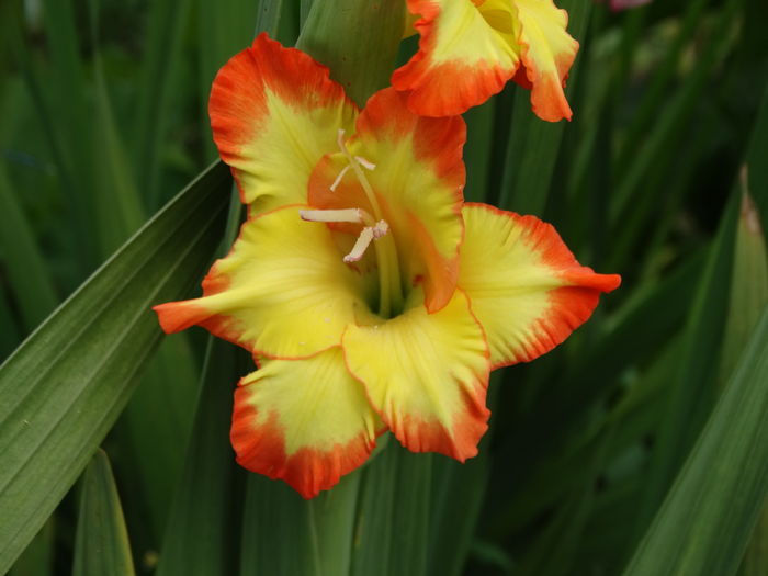 DSC08840