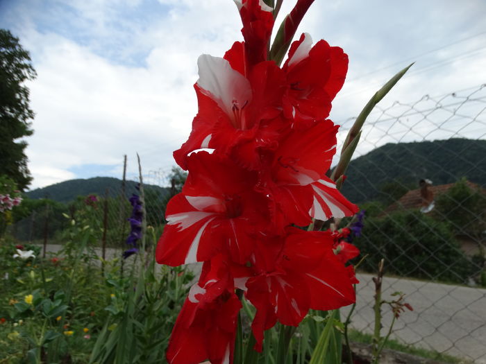 DSC08801