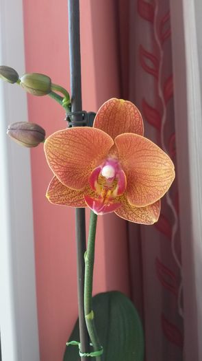 20160714_102533