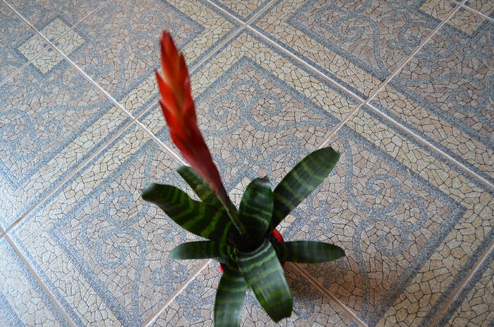 DSC_0004 - dragostea  de natura