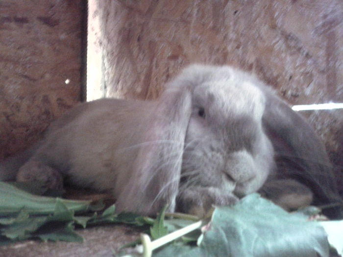 IMG_20160714_104914 - CUIB 08032016