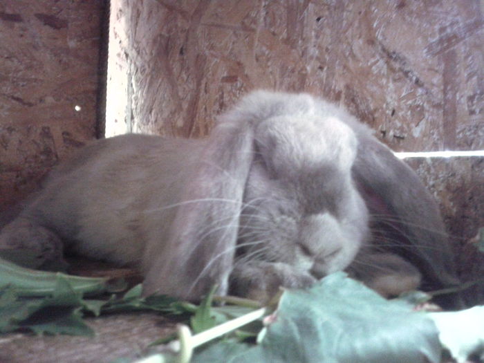 IMG_20160714_104918 - CUIB 08032016