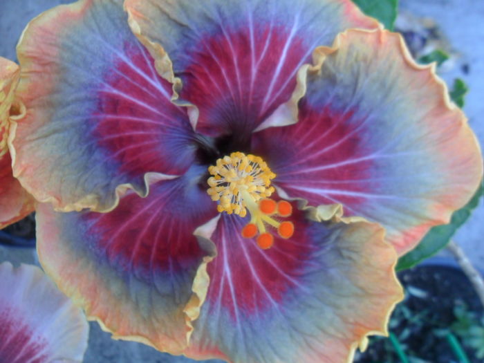 053