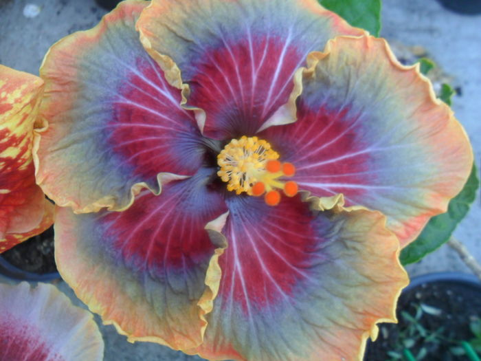 054