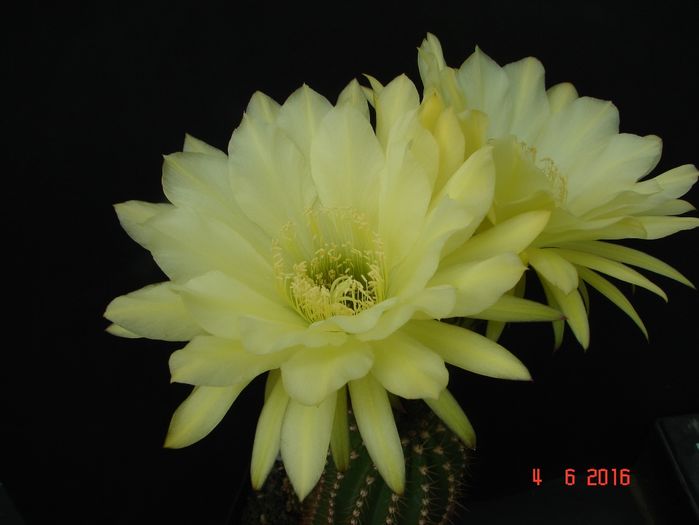 DSC00021