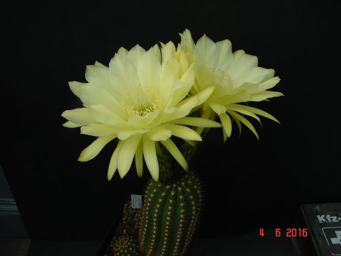 DSC00024