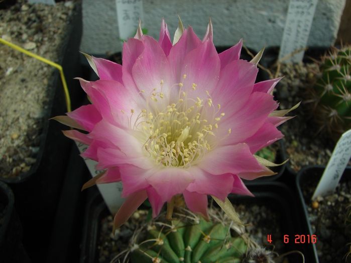 DSC00035