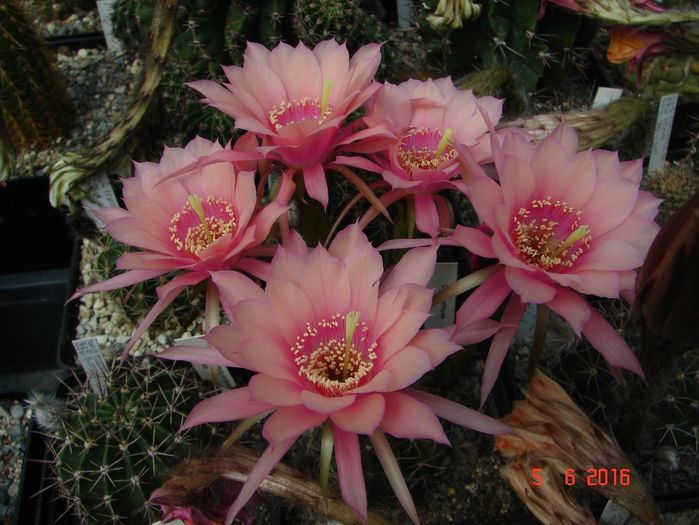 DSC00045