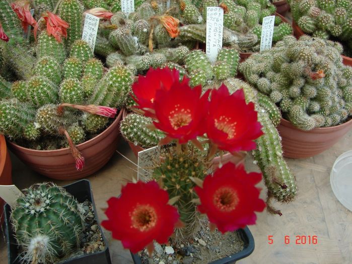 DSC00061
