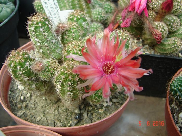 DSC00065