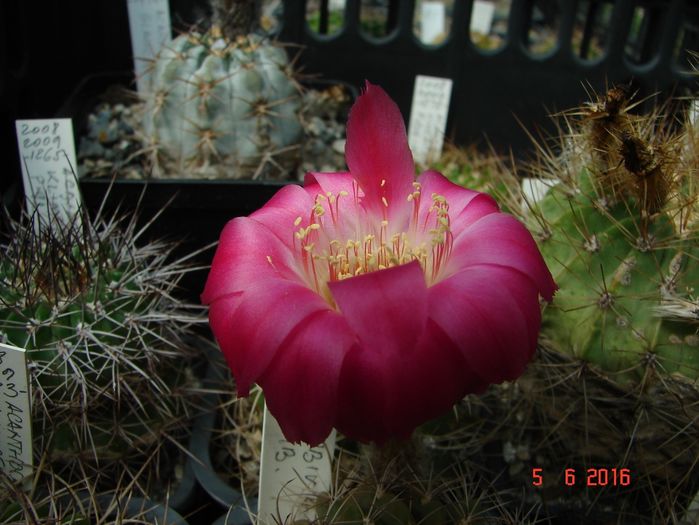 DSC00067