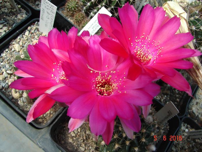 DSC00069