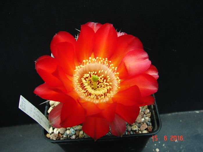DSC00102