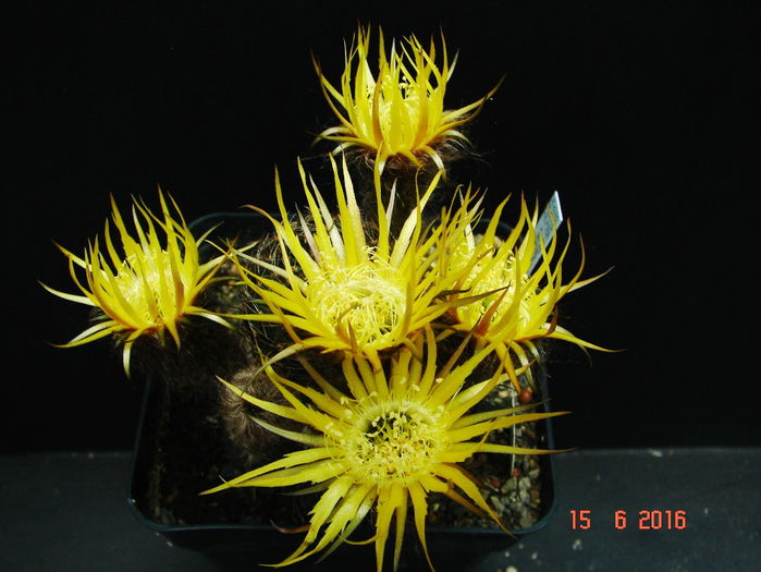 DSC00105