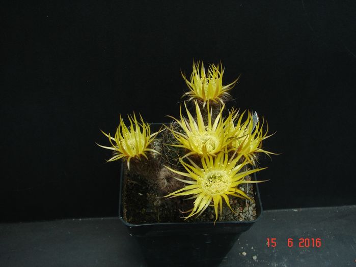 DSC00108