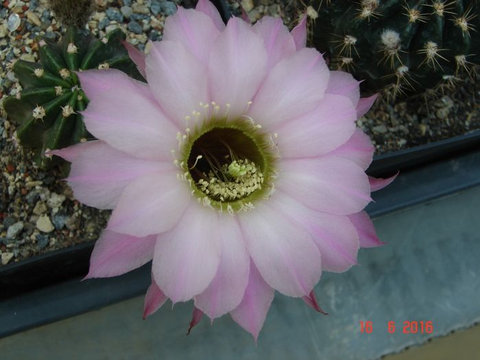 DSC00128
