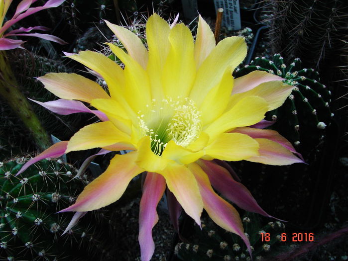 DSC00134